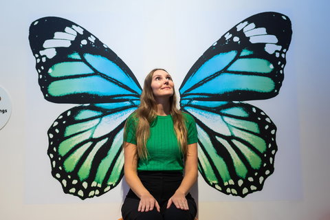 Minibeasts - Taree Accommodation 1