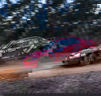 Narooma Forest Rally - Taree Accommodation