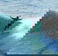 Port Stephens Surf Festival - Taree Accommodation