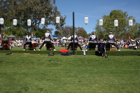 Sakura Matsuri  - Cherry Blossom Festival - In Doubt Due To Covid-19 - Taree Accommodation 0