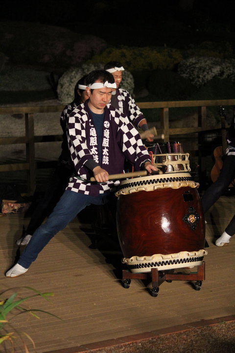 Sakura Matsuri  - Cherry Blossom Festival - In Doubt Due To Covid-19 - Taree Accommodation 1