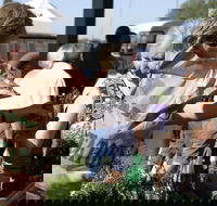 Sale  Producers Market - Taree Accommodation