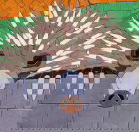 SALA 2020 - Colour Our World