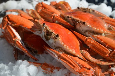 Seafood On Spencer - Taree Accommodation 1
