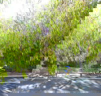 SunSmart FunMan Triathlon - Taree Accommodation