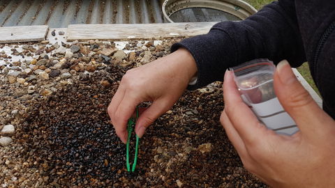 The Minerama Fossicking, Gem And Jewellery Show - Taree Accommodation 1