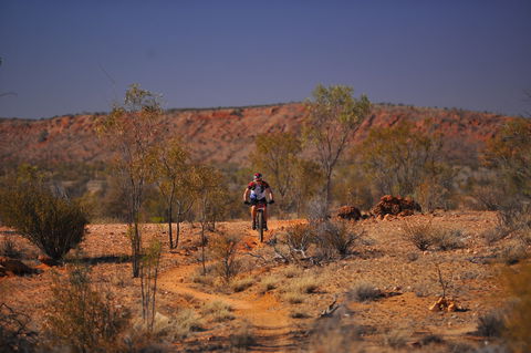 The Redback - Taree Accommodation 2