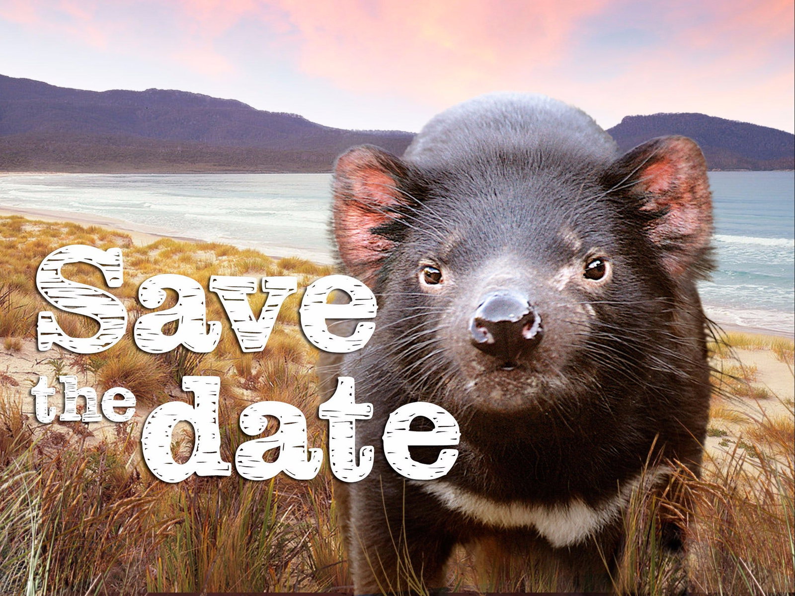 Levendale TAS Taree Accommodation