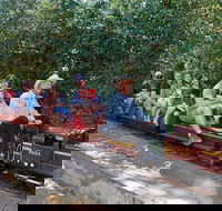 Twilight Run   Willans Hill Miniature Railway - Taree Accommodation