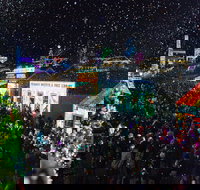 Winter Wonderlights at Sovereign Hill - Taree Accommodation