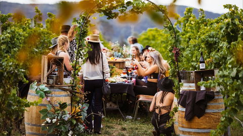 Wine Machine - NEW DATE - Taree Accommodation 1