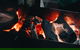 Bonfire, Bush Poet And Barbecue Under The Stars - thumb 0