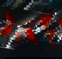 Bonfire Bush Poet and Barbecue under the Stars - Taree Accommodation