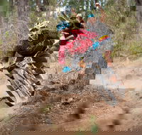 Fox Superflow sealed by Stan's Race  Greenvalleys - Taree Accommodation