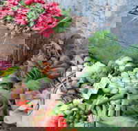 Ma Ma Creek Markets - Taree Accommodation