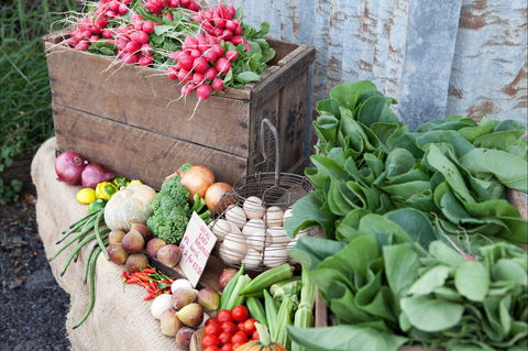 Ma Ma Creek Markets - Taree Accommodation 0
