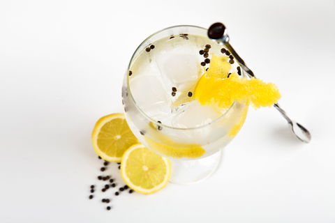 Online Live Streaming Class: Make Four Gin Cocktails - Taree Accommodation 0