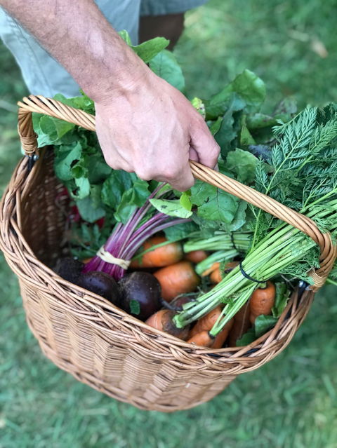 Orange Farmers Market - Taree Accommodation 0