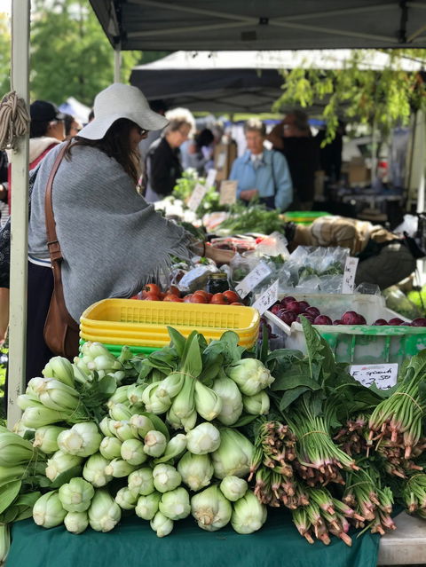 Orange Farmers Market - Taree Accommodation 1