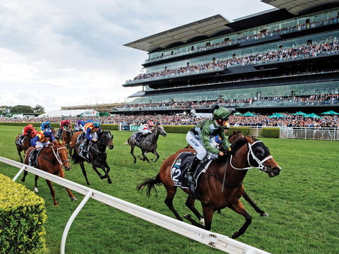 The Everest - Taree Accommodation 0