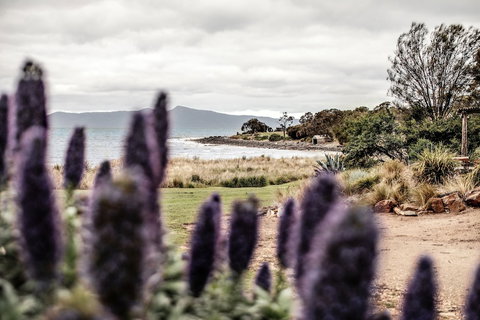 Piermont Retreat - Taree Accommodation 3