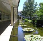 ANU University House Hotel - Taree Accommodation