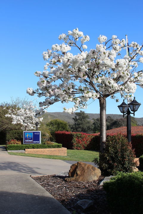 Hume Country Motor Inn - Taree Accommodation 0