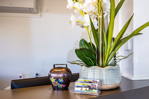 Ascot Lodge Motor Inn Kingaroy - Taree Accommodation 3