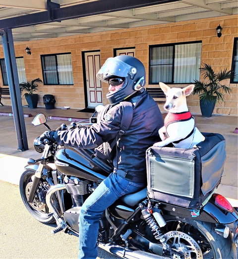 Ascot Lodge Motor Inn Kingaroy - Taree Accommodation 2