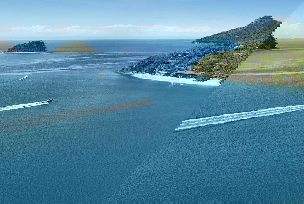 Hamilton Island QLD Taree Accommodation