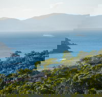 Hamilton Island Holiday Homes - Taree Accommodation