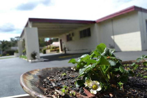 Wattle Motel - Taree Accommodation 2