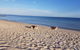 Abbey Beach Shack - thumb 5