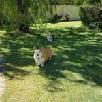 Abbey Beach Shack - Taree Accommodation 0