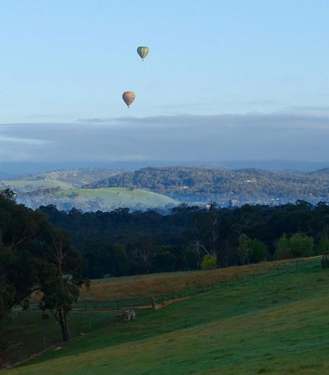 The Little House On The Hill - Taree Accommodation 5