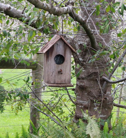 The Little House On The Hill - Taree Accommodation 2