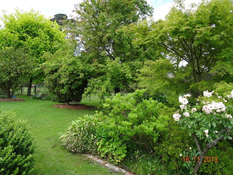 The Little House On The Hill - Taree Accommodation 1