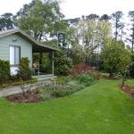 The Little House On The Hill - Taree Accommodation 0