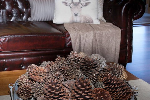 Drom Aluinn B & B - Taree Accommodation 4