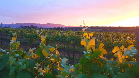 Red Door Collective RDC Estate - Taree Accommodation 4