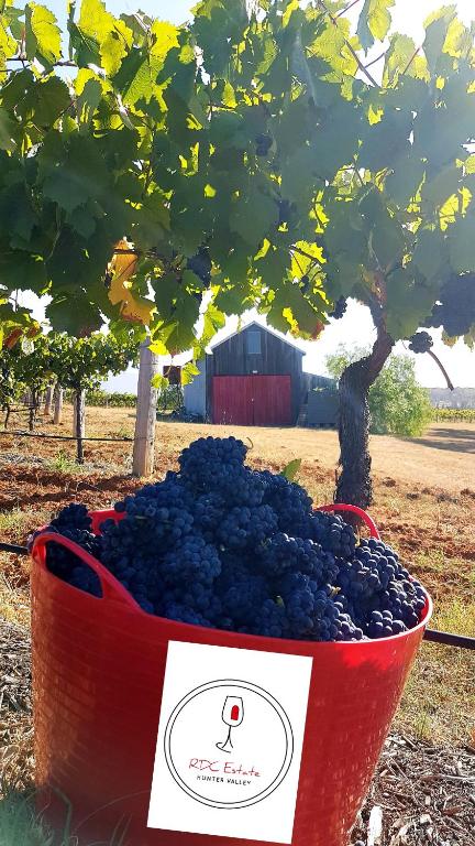 Red Door Collective RDC Estate - Taree Accommodation 1