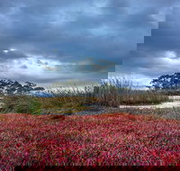 Saintys Creek Cottage - Taree Accommodation