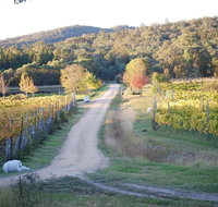 Twisted Gum Cottage - Taree Accommodation