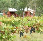 Fergies Hill Spa Cottage at Granite Ridge Wines - Taree Accommodation