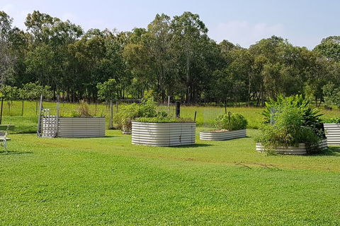 Hay Point Country B&B - Taree Accommodation 2