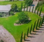 Gaerwood B  B - Taree Accommodation