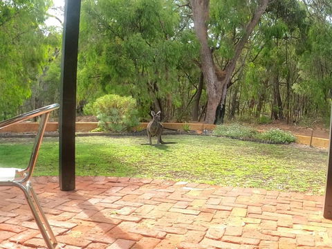 Yallingup Pet Friendly Bush Retreat - Taree Accommodation 5