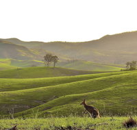 Ketchup's Bank Glamping - Taree Accommodation