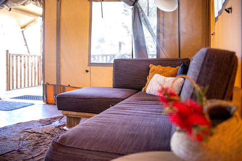 Scamander Sanctuary Holiday Park - Taree Accommodation 2