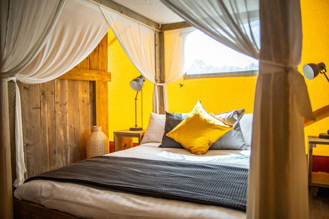 Scamander Sanctuary Holiday Park - Taree Accommodation 5